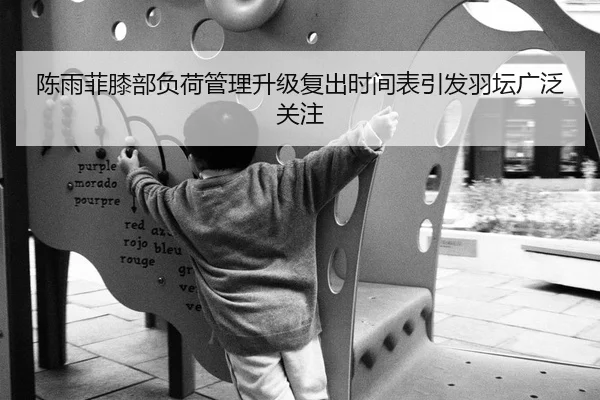 陈雨菲膝部负荷管理升级复出时间表引发羽坛广泛关注