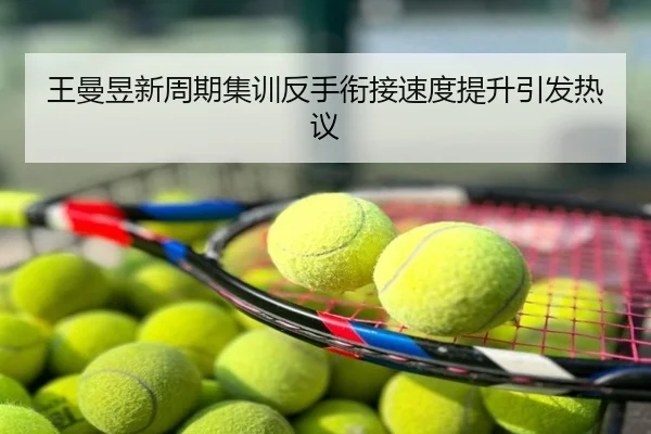 王曼昱新周期集训反手衔接速度提升引发热议