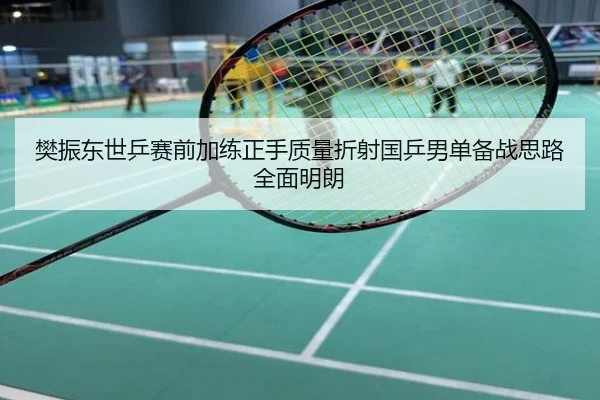 樊振东世乒赛前加练正手质量折射国乒男单备战思路全面明朗
