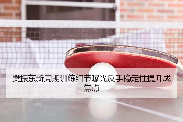 樊振东新周期训练细节曝光反手稳定性提升成焦点