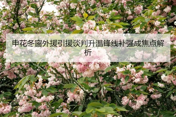 申花冬窗外援引援谈判升温锋线补强成焦点解析